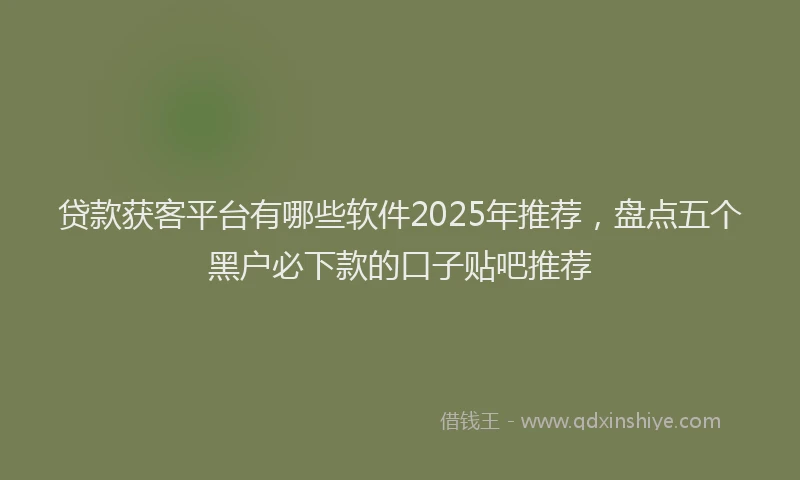 贷款获客平台有哪些软件2025年推荐，盘点五个黑户必下款的口子贴吧推荐