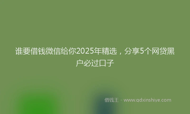 谁要借钱微信给你2025年精选，分享5个网贷黑户必过口子