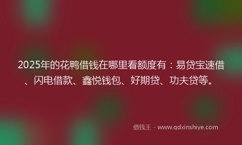 2025年的花鸭借钱在哪里看额度有：易贷宝速借、闪电借款、鑫悦钱包、好期贷、功夫贷等。