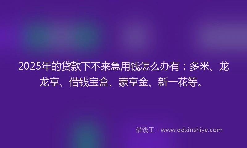 2025年的贷款下不来急用钱怎么办有：多米、龙龙享、借钱宝盒、蒙享金、新一花等。