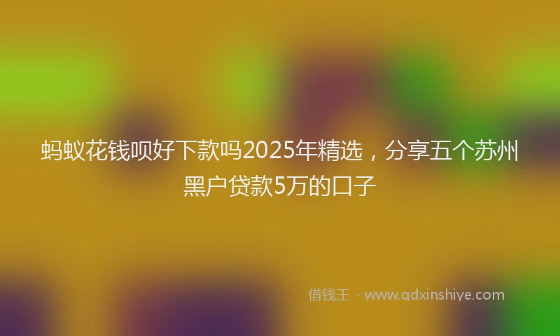 蚂蚁花钱呗好下款吗2025年精选，分享五个苏州黑户贷款5万的口子