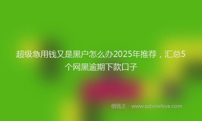 超级急用钱又是黑户怎么办2025年推荐，汇总5个网黑逾期下款口子