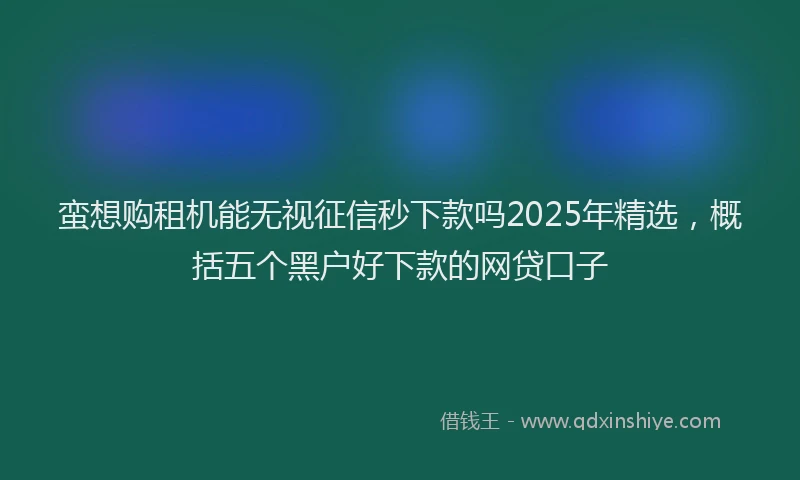 蛮想购租机能无视征信秒下款吗2025年精选，概括五个黑户好下款的网贷口子