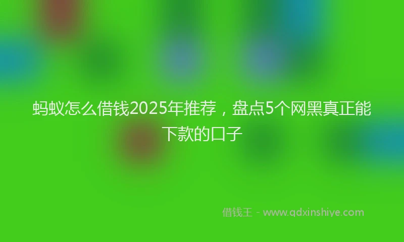 蚂蚁怎么借钱2025年推荐，盘点5个网黑真正能下款的口子