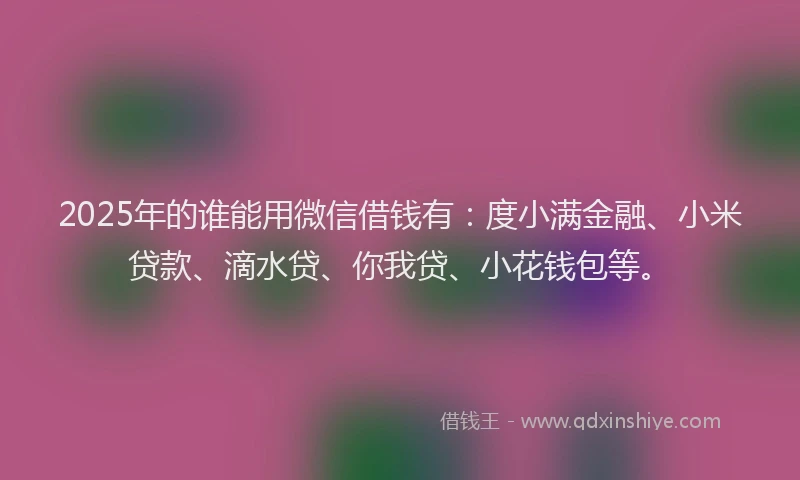 2025年的谁能用微信借钱有：度小满金融、小米贷款、滴水贷、你我贷、小花钱包等。