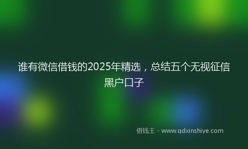 谁有微信借钱的2025年精选，总结五个无视征信黑户口子
