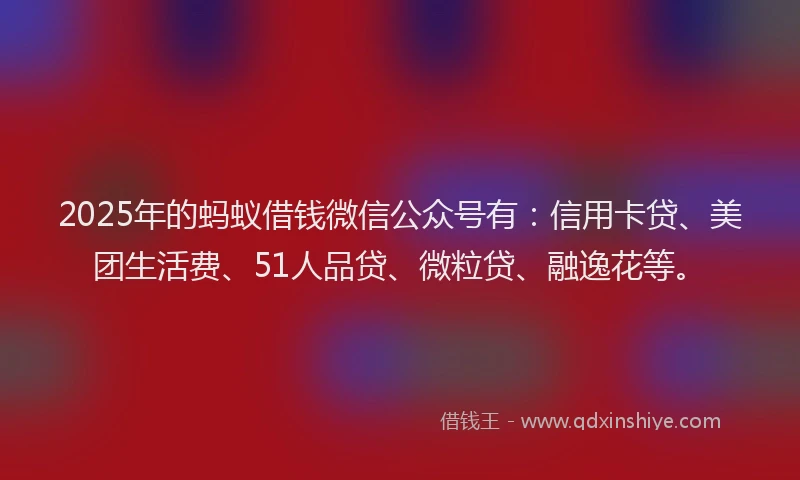 2025年的蚂蚁借钱微信公众号有：信用卡贷、美团生活费、51人品贷、微粒贷、融逸花等。