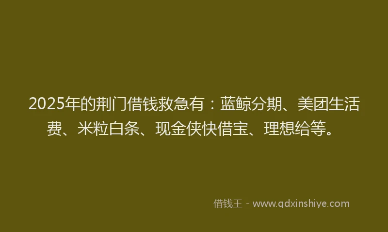 2025年的荆门借钱救急有：蓝鲸分期、美团生活费、米粒白条、现金侠快借宝、理想给等。