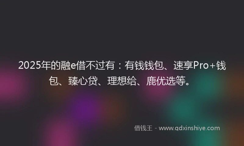 2025年的融e借不过有：有钱钱包、速享Pro+钱包、臻心贷、理想给、鹿优选等。