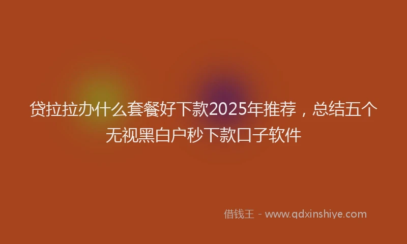 贷拉拉办什么套餐好下款2025年推荐，总结五个无视黑白户秒下款口子软件