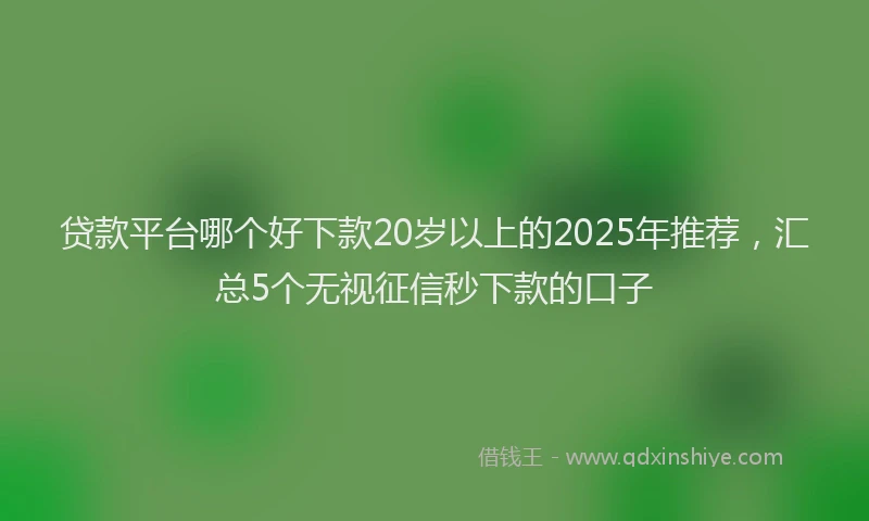 贷款平台哪个好下款20岁以上的2025年推荐，汇总5个无视征信秒下款的口子