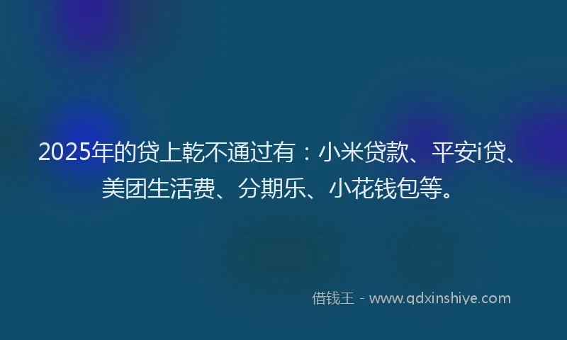 2025年的贷上乾不通过有：小米贷款、平安i贷、美团生活费、分期乐、小花钱包等。