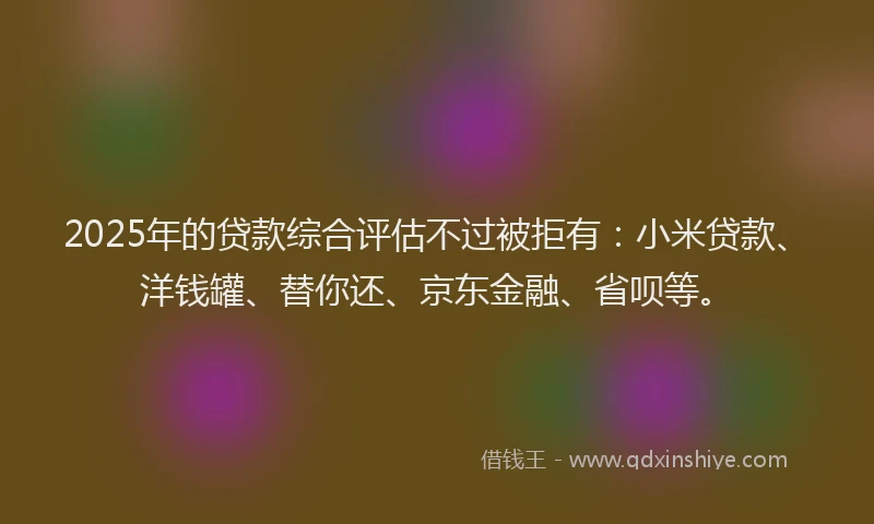 2025年的贷款综合评估不过被拒有：小米贷款、洋钱罐、替你还、京东金融、省呗等。