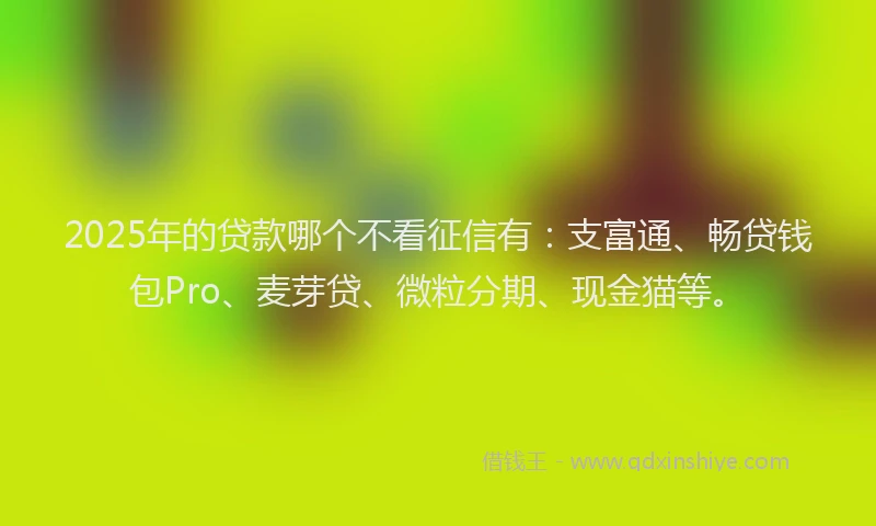 2025年的贷款哪个不看征信有：支富通、畅贷钱包Pro、麦芽贷、微粒分期、现金猫等。