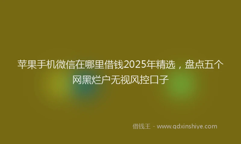 苹果手机微信在哪里借钱2025年精选，盘点五个网黑烂户无视风控口子