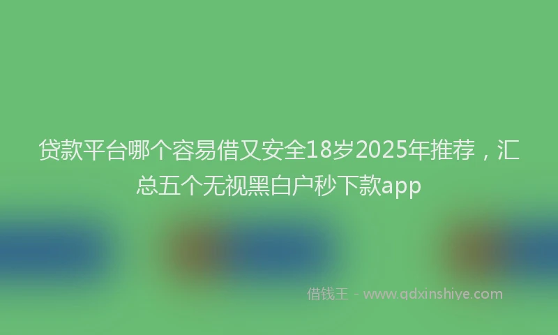 贷款平台哪个容易借又安全18岁2025年推荐，汇总五个无视黑白户秒下款app