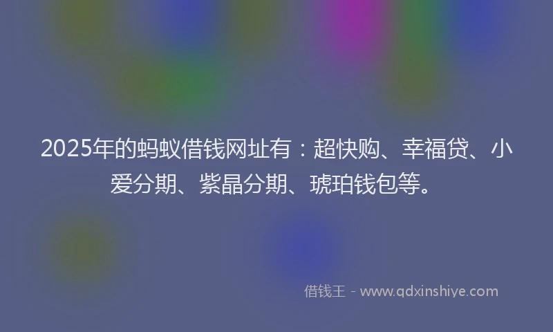 2025年的蚂蚁借钱网址有：超快购、幸福贷、小爱分期、紫晶分期、琥珀钱包等。