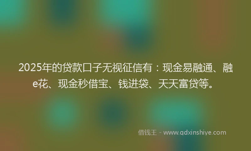 2025年的贷款口子无视征信有：现金易融通、融e花、现金秒借宝、钱进袋、天天富贷等。