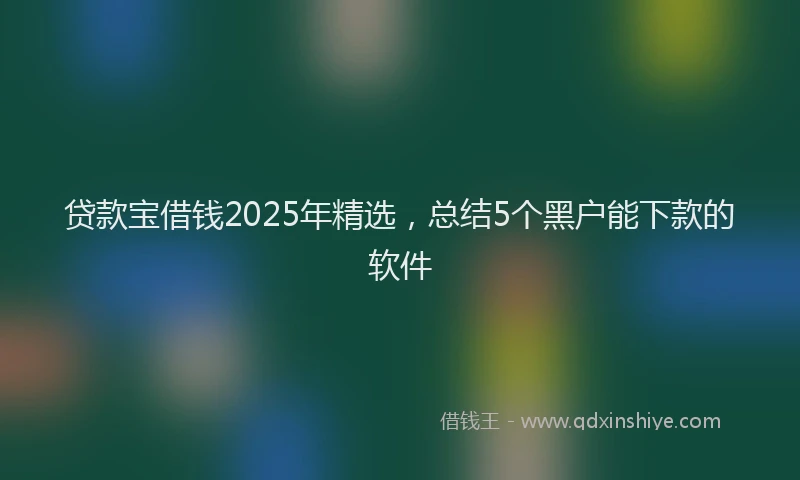 贷款宝借钱2025年精选，总结5个黑户能下款的软件