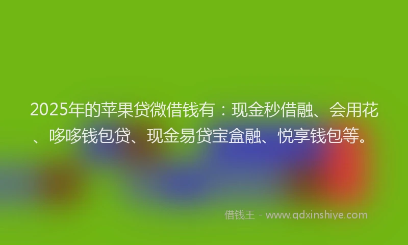 2025年的苹果贷微借钱有：现金秒借融、会用花、哆哆钱包贷、现金易贷宝盒融、悦享钱包等。