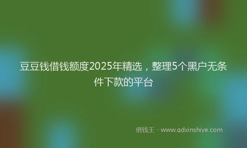 豆豆钱借钱额度2025年精选，整理5个黑户无条件下款的平台