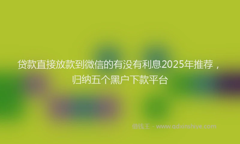 贷款直接放款到微信的有没有利息2025年推荐，归纳五个黑户下款平台
