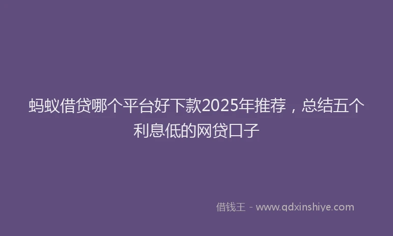 蚂蚁借贷哪个平台好下款2025年推荐，总结五个利息低的网贷口子