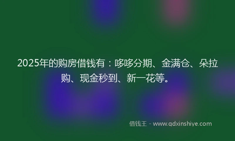 2025年的购房借钱有：哆哆分期、金满仓、朵拉购、现金秒到、新一花等。