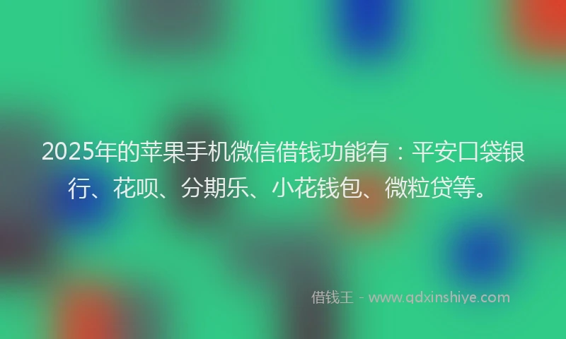 2025年的苹果手机微信借钱功能有:平安口袋银行、花呗、分期乐、小花钱包、微粒贷等。
