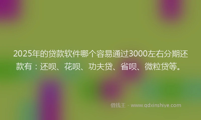 2025年的贷款软件哪个容易通过3000左右分期还款有:还呗、花呗、功夫贷、省呗、微粒贷等。