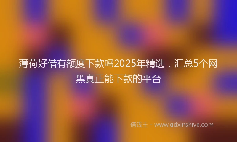 薄荷好借有额度下款吗2025年精选，汇总5个网黑真正能下款的平台