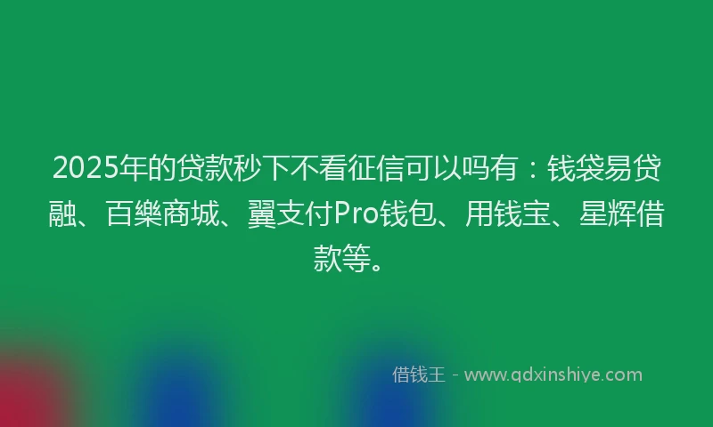 2025年的贷款秒下不看征信可以吗有：钱袋易贷融、百樂商城、翼支付Pro钱包、用钱宝、星辉借款等。