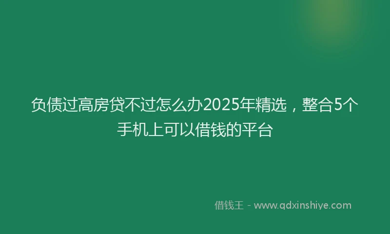 负债过高房贷不过怎么办2025年精选，整合5个手机上可以借钱的平台