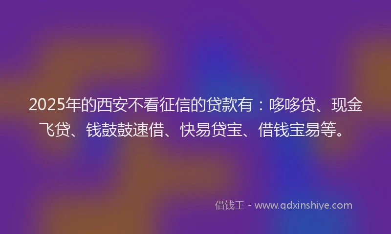 2025年的西安不看征信的贷款有：哆哆贷、现金飞贷、钱鼓鼓速借、快易贷宝、借钱宝易等。