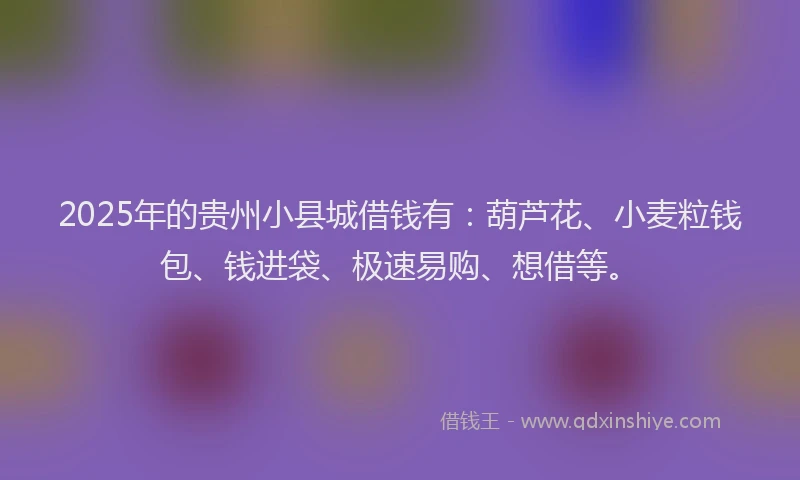 2025年的贵州小县城借钱有：葫芦花、小麦粒钱包、钱进袋、极速易购、想借等。
