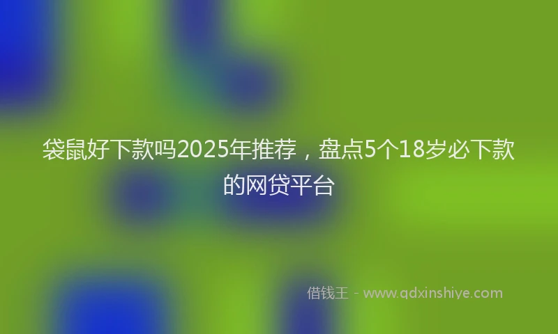 袋鼠好下款吗2025年推荐，盘点5个18岁必下款的网贷平台
