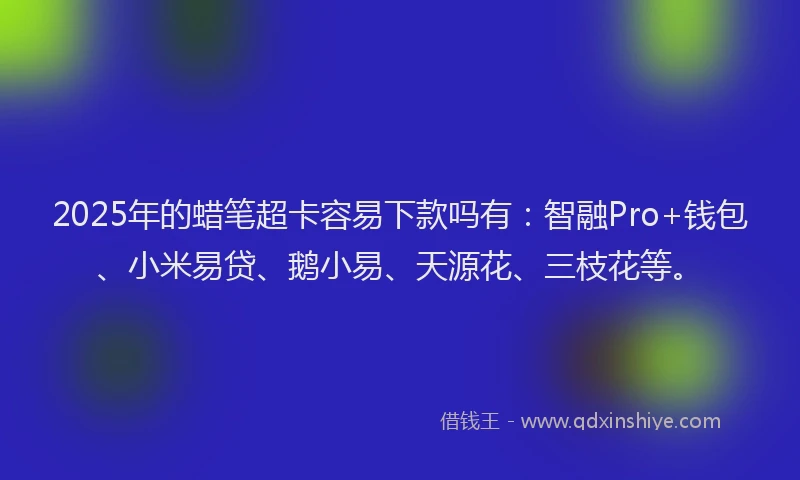 2025年的蜡笔超卡容易下款吗有：智融Pro+钱包、小米易贷、鹅小易、天源花、三枝花等。