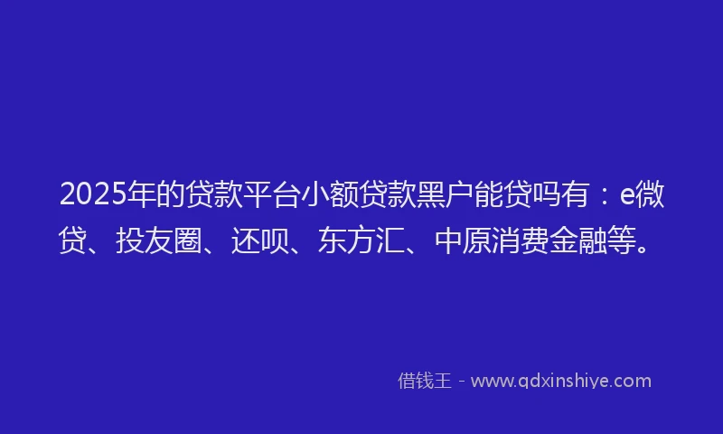 2025年的贷款平台小额贷款黑户能贷吗有：e微贷、投友圈、还呗、东方汇、中原消费金融等。