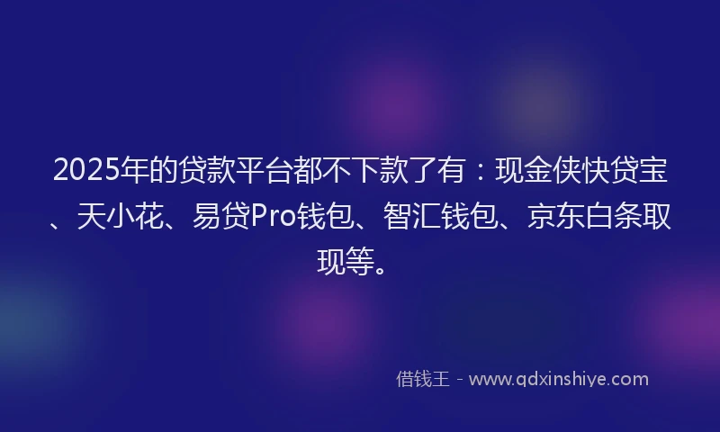 2025年的贷款平台都不下款了有：现金侠快贷宝、天小花、易贷Pro钱包、智汇钱包、京东白条取现等。