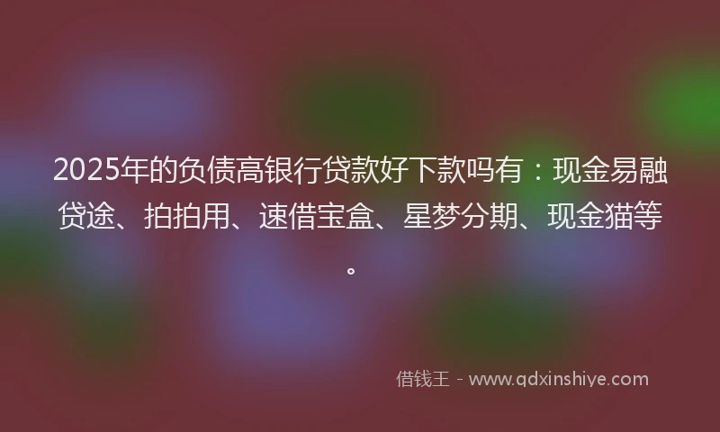 2025年的负债高银行贷款好下款吗有：现金易融贷途、拍拍用、速借宝盒、星梦分期、现金猫等。