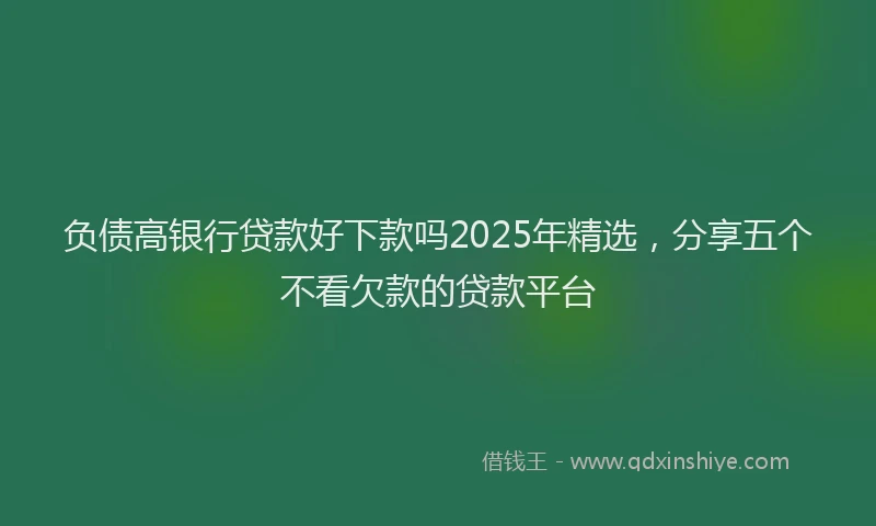 负债高银行贷款好下款吗2025年精选，分享五个不看欠款的贷款平台