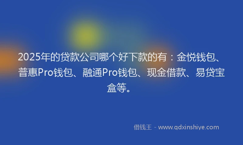 2025年的贷款公司哪个好下款的有：金悦钱包、普惠Pro钱包、融通Pro钱包、现金借款、易贷宝盒等。