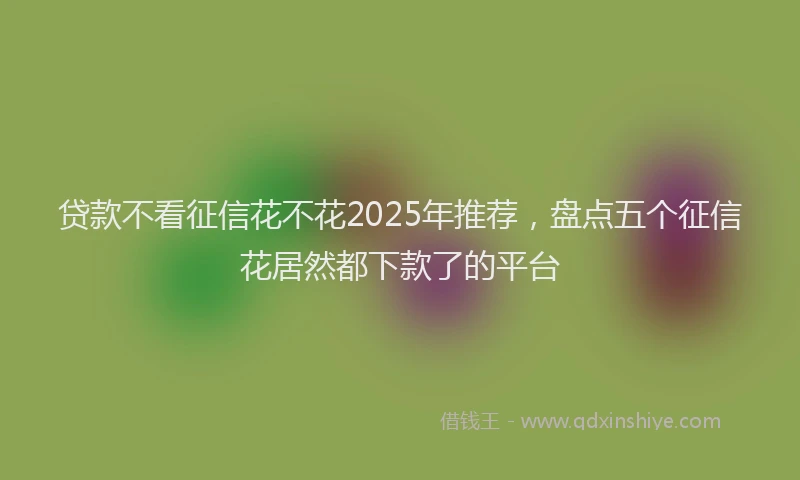 贷款不看征信花不花2025年推荐，盘点五个征信花居然都下款了的平台