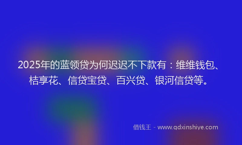 2025年的蓝领贷为何迟迟不下款有：维维钱包、桔享花、信贷宝贷、百兴贷、银河信贷等。