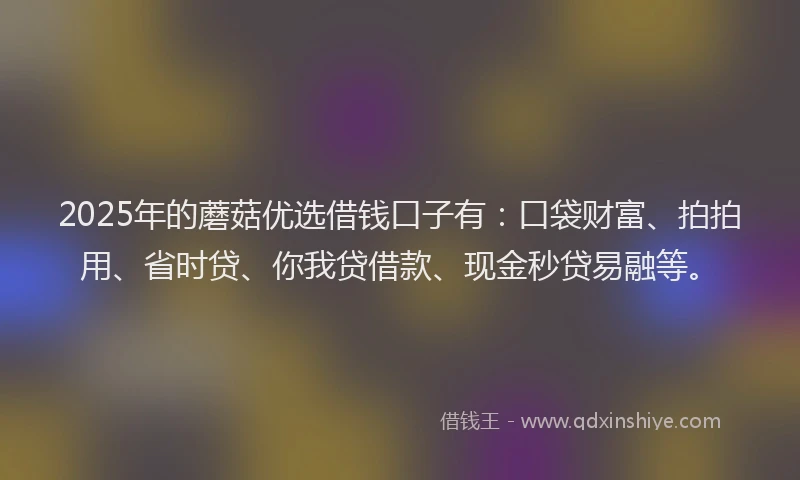 2025年的蘑菇优选借钱口子有：口袋财富、拍拍用、省时贷、你我贷借款、现金秒贷易融等。