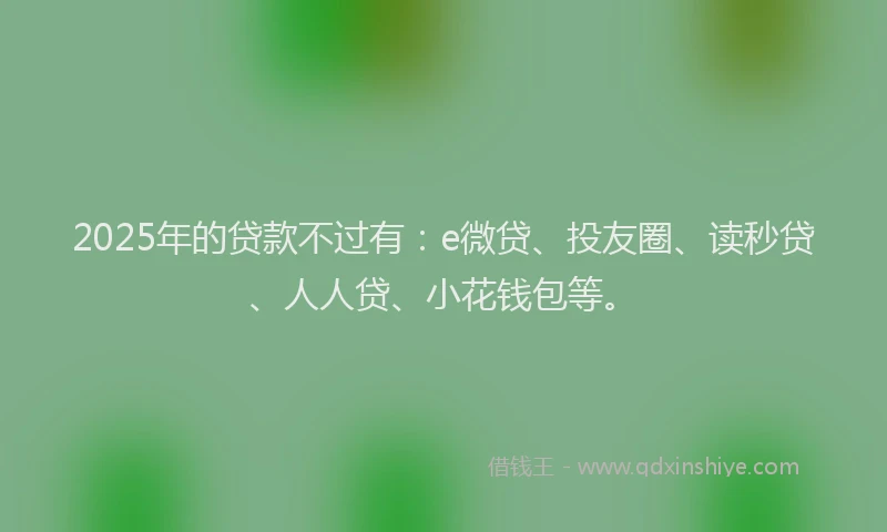 2025年的贷款不过有：e微贷、投友圈、读秒贷、人人贷、小花钱包等。
