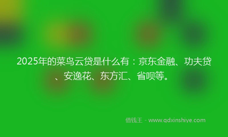 2025年的菜鸟云贷是什么有：京东金融、功夫贷、安逸花、东方汇、省呗等。