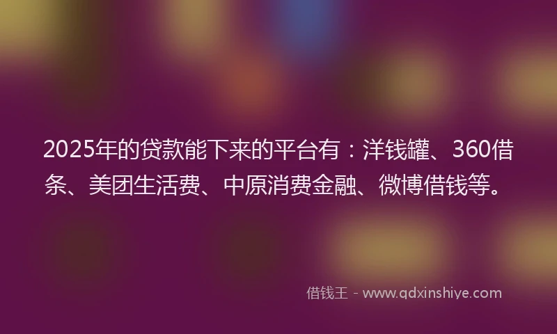 2025年的贷款能下来的平台有：洋钱罐、360借条、美团生活费、中原消费金融、微博借钱等。