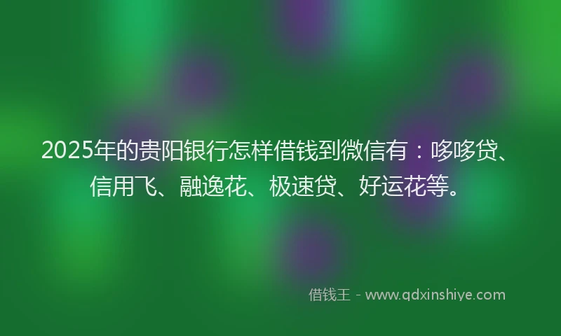 2025年的贵阳银行怎样借钱到微信有：哆哆贷、信用飞、融逸花、极速贷、好运花等。