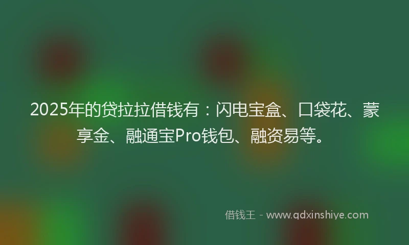 2025年的贷拉拉借钱有：闪电宝盒、口袋花、蒙享金、融通宝Pro钱包、融资易等。